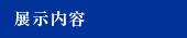 展示内容